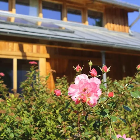 Strandhaus Unter Den Birken Prázdninový dům *